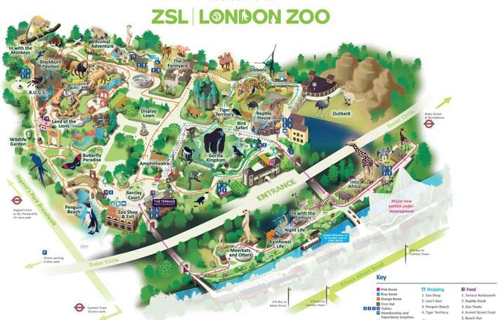 London Zoo Map